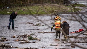 Na zwłoki kobiet natrafił kajakarz/Zdjęcie ilustracyjne 