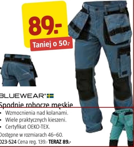 Spodnie robocze Bluewear