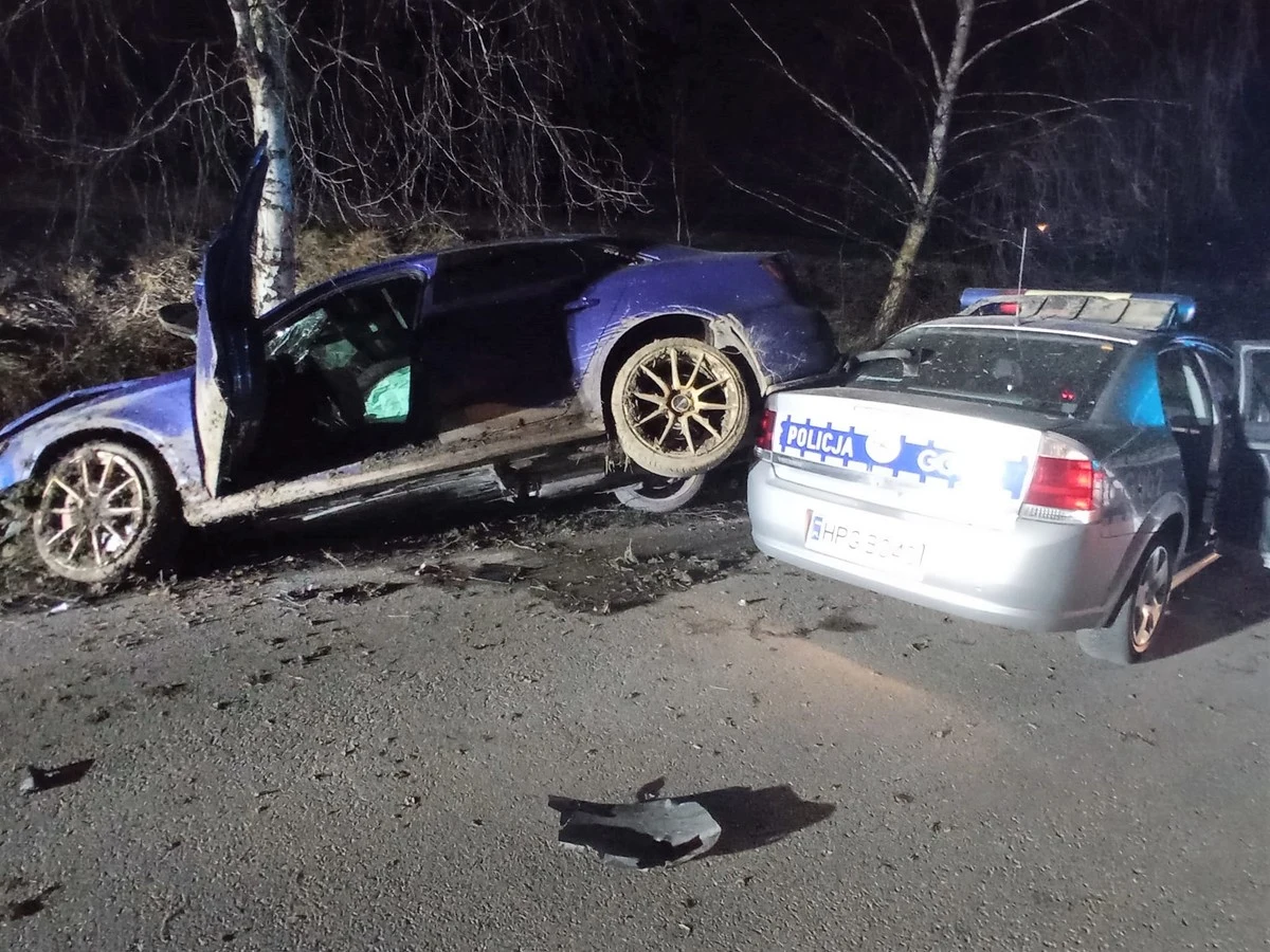 Ucieczka przed radiowozem policji skończyła się lądowaniem na drzewie Ucieczka przed radiowozem policji skończyła się lądowaniem na drzewie