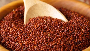 Komosa ryżowa to jedna z najstarszych na świecie roślin uprawnych. Właściwości zdrowotne komosy ryżowej sprawiają, że jest coraz popularniejsza. Jak ją ugotować i do czego się przyda w kuchni?