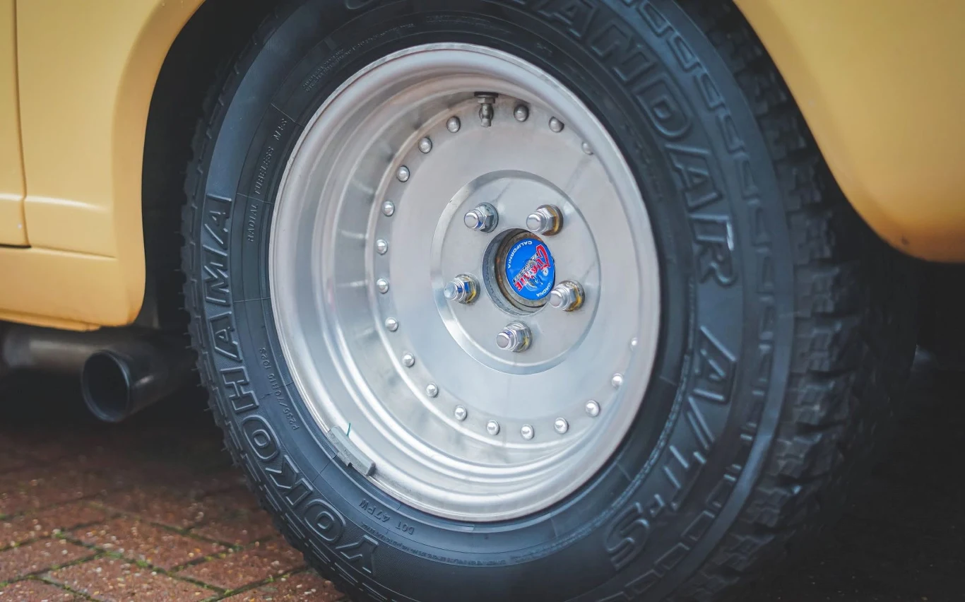 "Bestia" Johna Dodda.