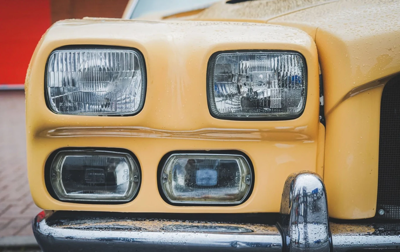 "Bestia" Johna Dodda.