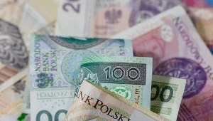 Złoty nieznacznie umocnił się wobec dolara amerykańskiego