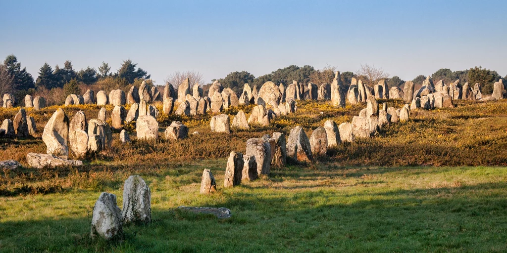 Kamienie Carnac są ułożone w określonym schemacie