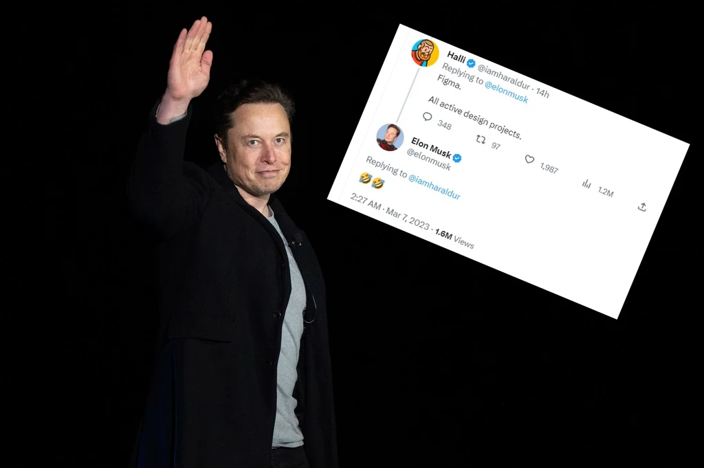 Elon Musk kolejny raz przeraża.