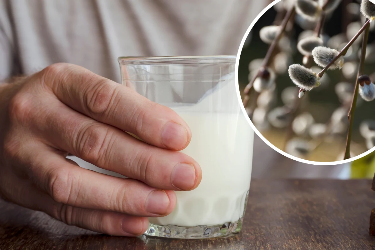 Bazie zwykle traktowane są jako ozdoba. Czas spojrzeć na nie nieco inaczej Bazie zwykle traktowane są jako ozdoba. Czas spojrzeć na nie nieco inaczej