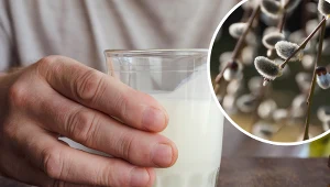 Bazie zwykle traktowane są jako ozdoba. Czas spojrzeć na nie nieco inaczej