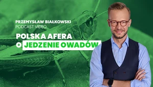 Polska afera o świerszcze nie ma sensu. Nadal za mało wiemy o owadach