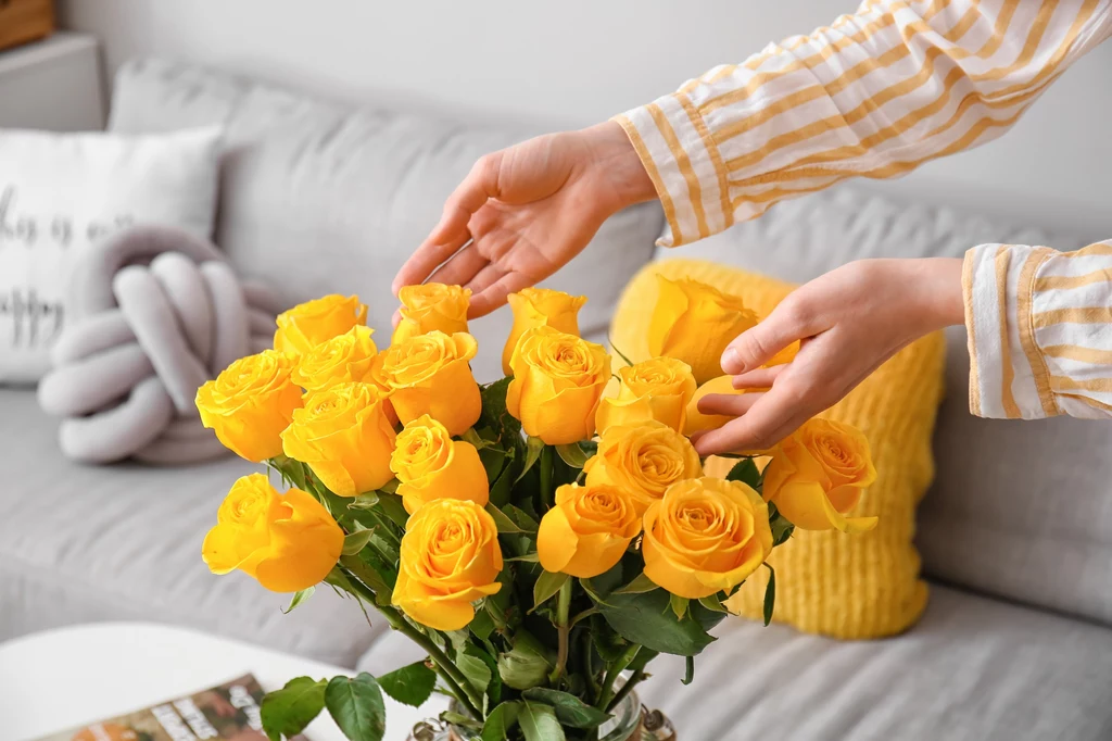 Dowiedz się, jakie jest znaczenie żółtych róż, by uniknąć niedopowiedzeń