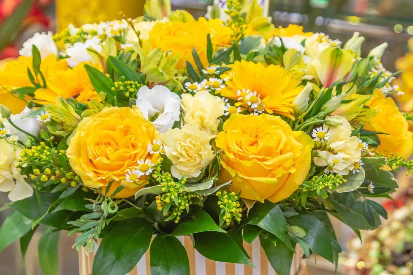 Żółte róże wyglądają pięknie, ale lepiej nie wręczać ich na Dzień Kobiet. 