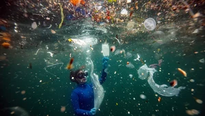 Ilość plastiku w oceanach jest ogromna i będzie jeszcze rosnąć. Do 2040 r. może wzrosnąć niemal trzykrotnie - szacuje nowe badanie