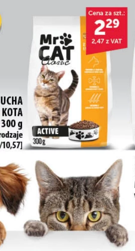 Karma dla kota Mr Cat