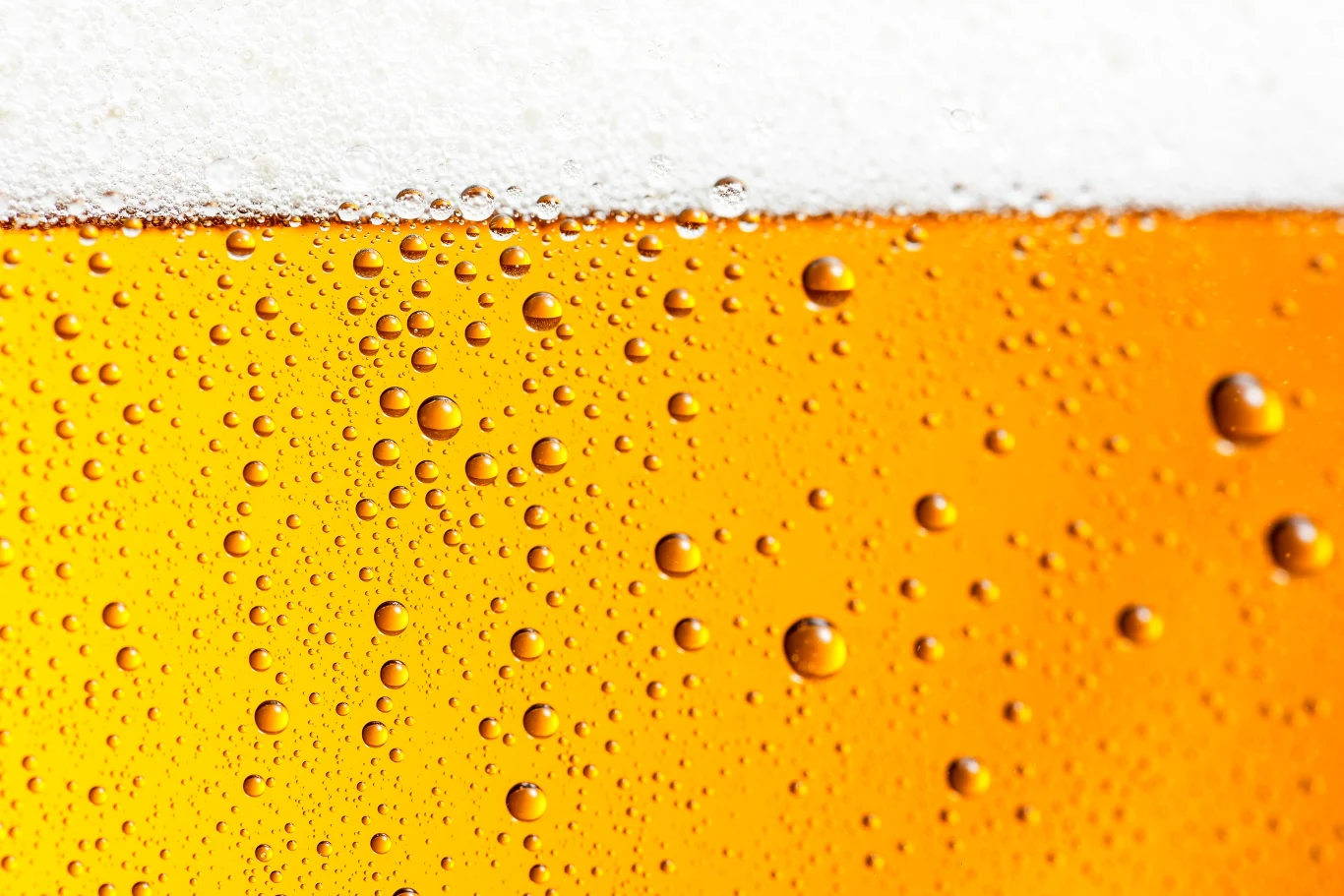 Naukowcy symulują piwną pianę Naukowcy symulują piwną pianę