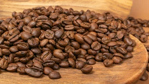 Antropogeniczne zmiany klimatu są zagrożeniem dla upraw kawy