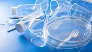 Polska nareszcie zabroni jednorazowych plastików. Sejm zadecydował 
