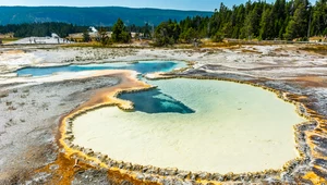 Pulsujący termometr w Yellowstone. Czym jest to niezwykłe zjawisko?