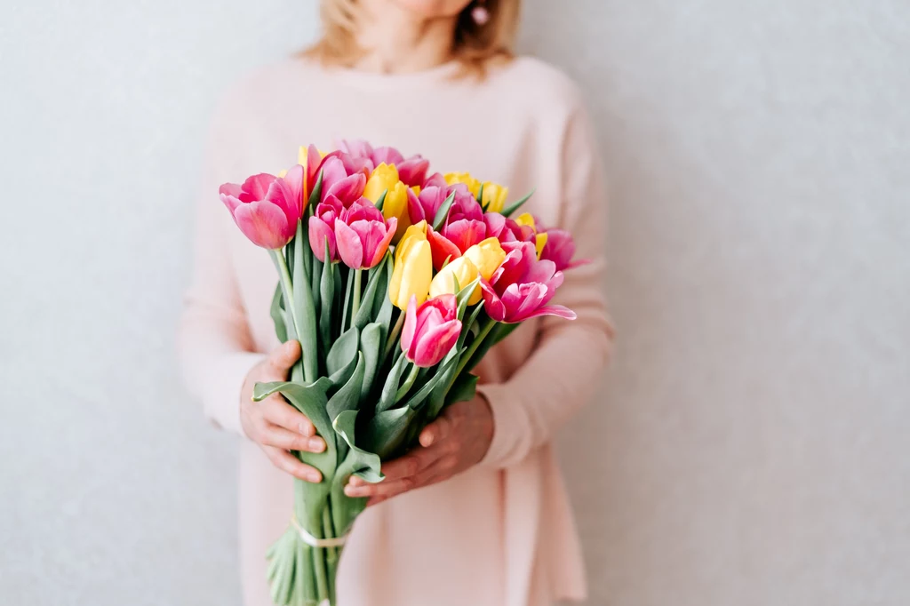 Patenty na przedłużenie życia ciętych tulipanów
