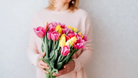 Darmowe bukiety tulipanów na Dzień Kobiet w Biedronce! 