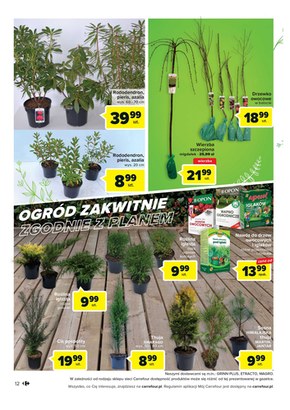 Carrefour - wiosenny relaks!