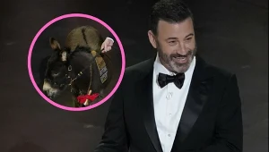 Jimmy Kimmel