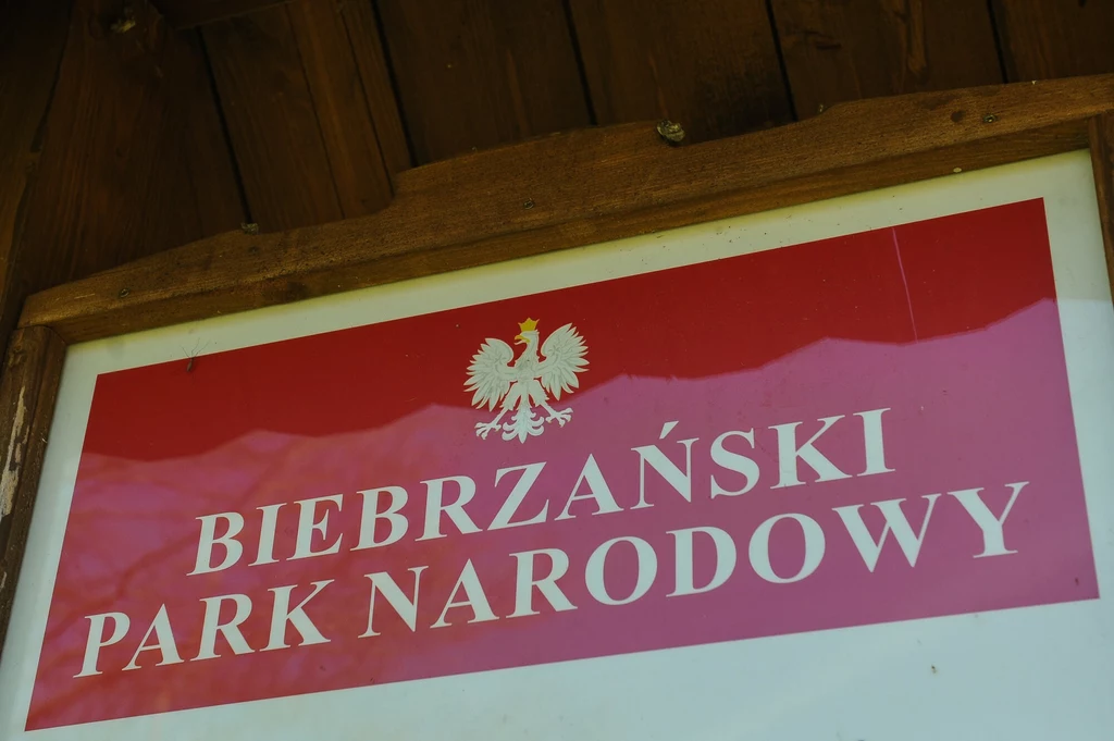 Biebrzański PN - park o największym obszarze w Polsce