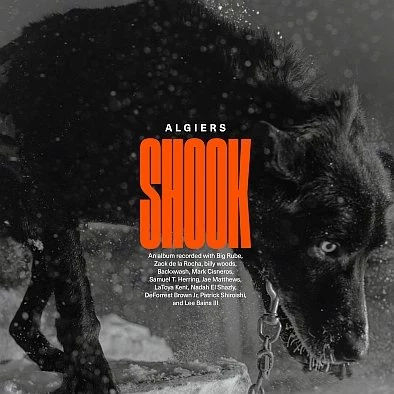 Okładka albumu Algiers "Shook"