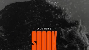 Algiers "Shook": Muzyka polityczna [RECENZJA]