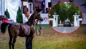 Pracownicy stadniny w Janowie Podlaskim protestują przeciw powołaniu nowej prezes / zdj. ilustracyjne
