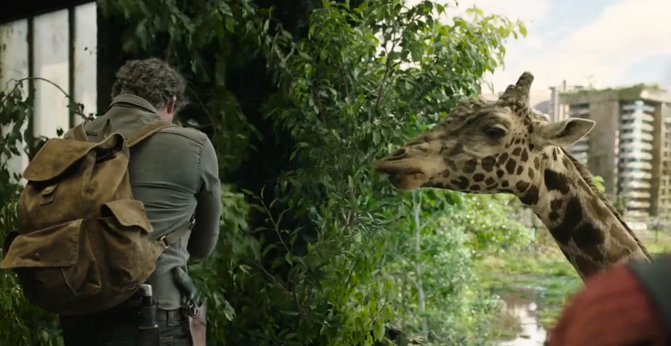The Last of Us