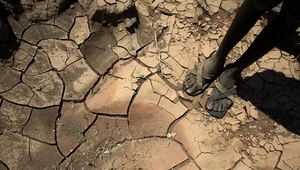 Wielka susza w Afryce. Nadchodzi głód wywołany przez zmiany klimatu