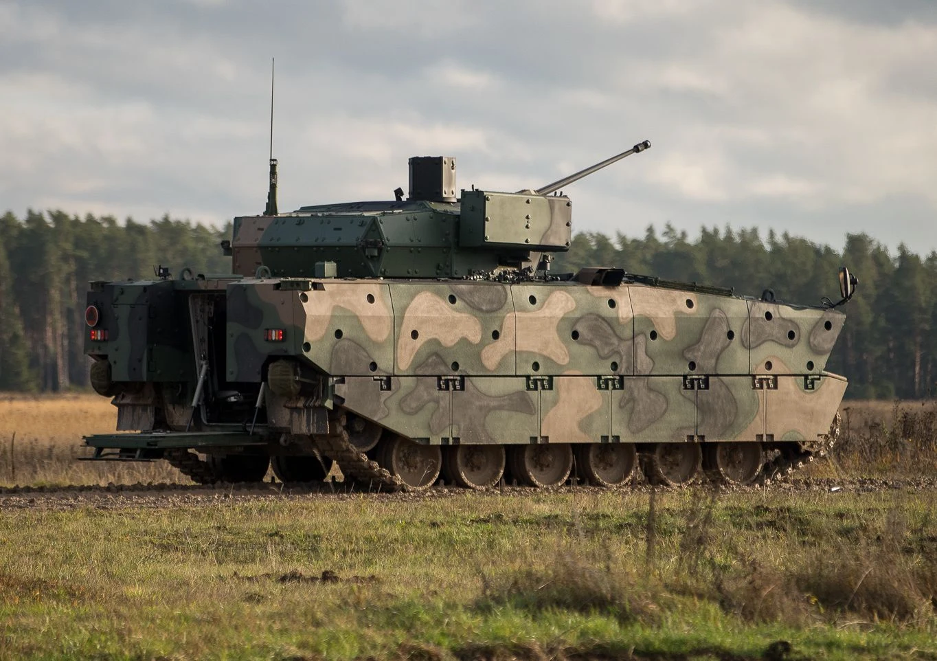 BWP Borsuk / fot. MON