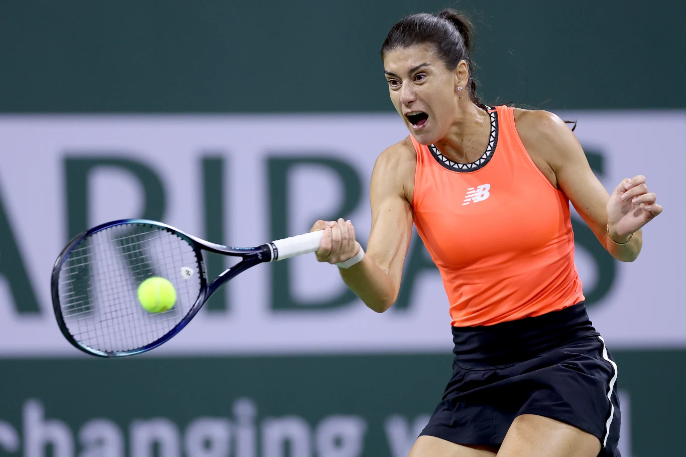 Sorana Cirstea Sorana Cirstea