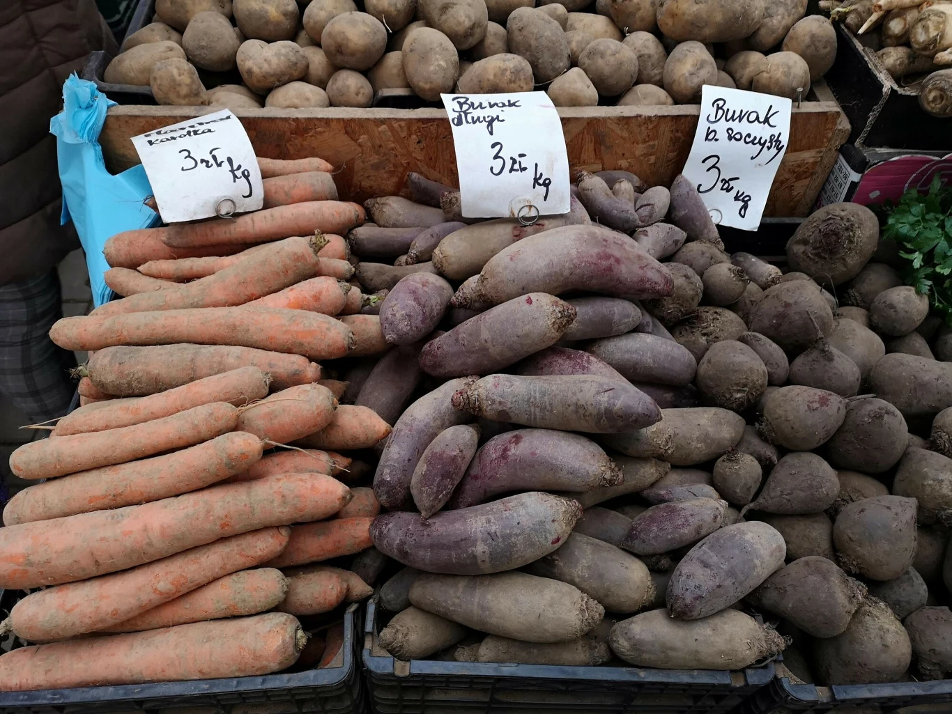 Miejskie ogrodnictwo to sposób na oszczędność