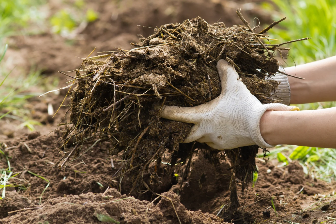 Jedną z podstaw wiosennego nawożenia ogródka jest sięgnięcie po nawozy organiczne Jedną z podstaw wiosennego nawożenia ogródka jest sięgnięcie po nawozy organiczne