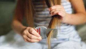 Wszawica to największa zmora rodziców dzieci, które uczęszczają do szkół i przedszkoli