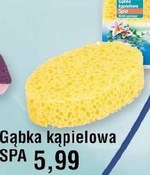 Gąbka kąpielowa