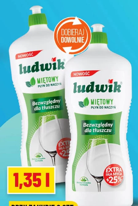 Ludwik Płyn do naczyń hipoalergiczny 1040 g