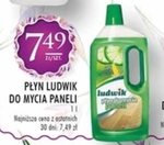 Pasta do paneli Ludwik