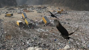 Gigantyczne wysypiska śmieci. Czy nadal stanowią zagrożenie?