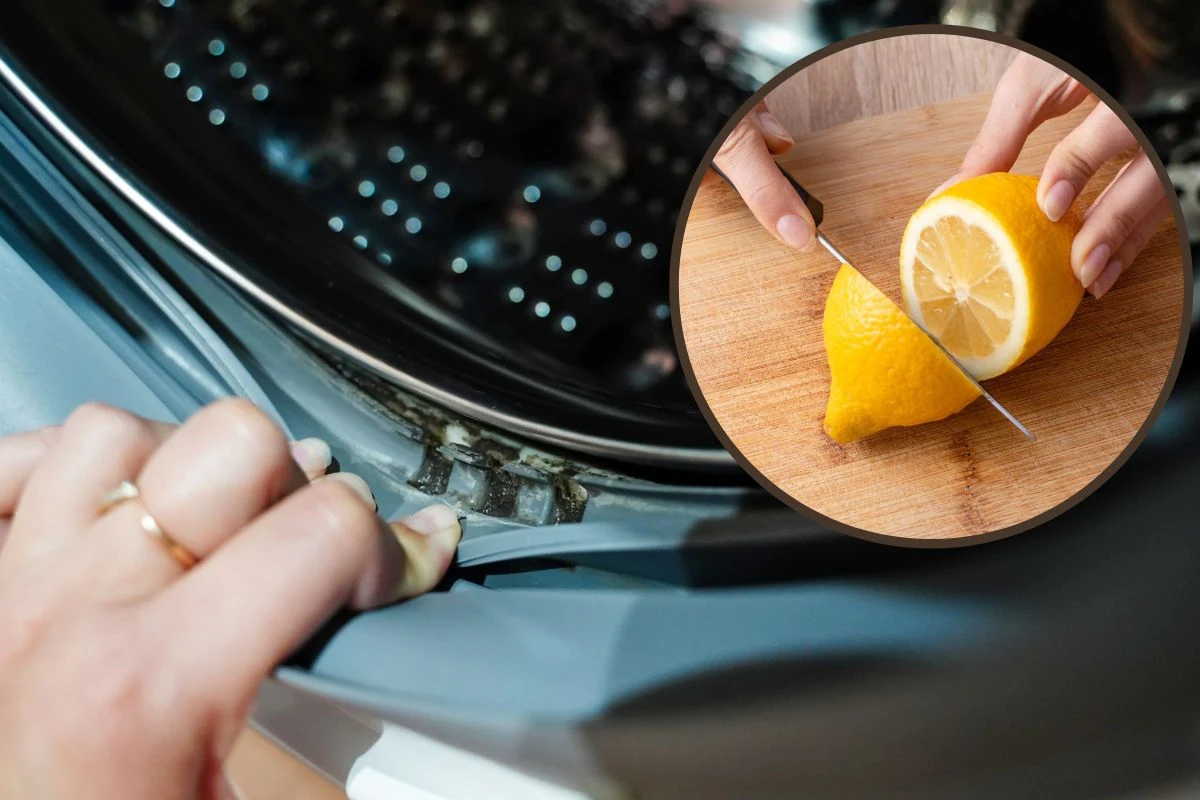 Pralkę można wyczyścić w bardzo łatwy sposób. Przyda się cytryna i pasta do zębów, a także soda oczyszczona Pralkę można wyczyścić w bardzo łatwy sposób. Przyda się cytryna i pasta do zębów, a także soda oczyszczona