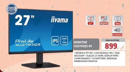 Monitor komputerowy Iiyama