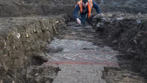 Chcieli zbudować supermarket. Odkryli starożytną rzymską willę