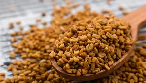 Najcenniejszą częścią kozieradki są nasiona. Jakie działanie się im przypisuje?