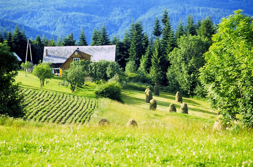 Sielski klimat Beskidu Wyspowego trudno porównywać z innymi górami w Polsce