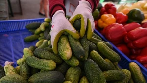 Niemiecki dziennik sugeruje, że w Polsce dostępne są ogórki pochodzące zza wschodniej granicy 