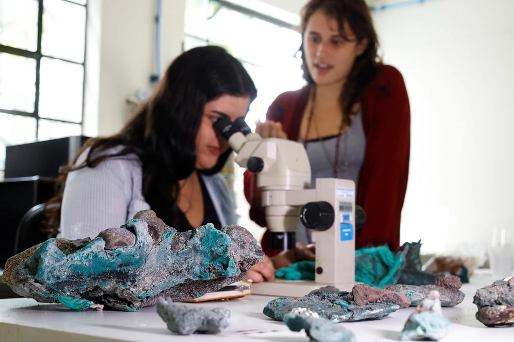 Naukowczyni, która wraz ze swoim zespołem odkryła plastikowe skały na wyspie Trindade ostrzega przed zgubnym wpływem działalności człowieka na ekosystemy Ziemi