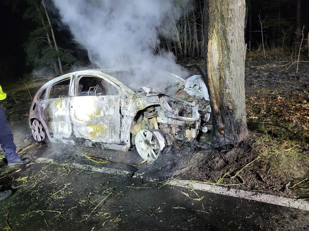 Auto uderzyło w drzewo i spłonęło, w środku znaleziono ciało Auto uderzyło w drzewo i spłonęło, w środku znaleziono ciało