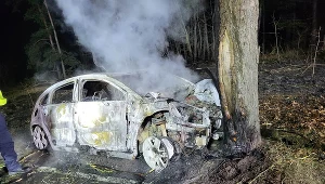 Auto uderzyło w drzewo i spłonęło, w środku znaleziono ciało