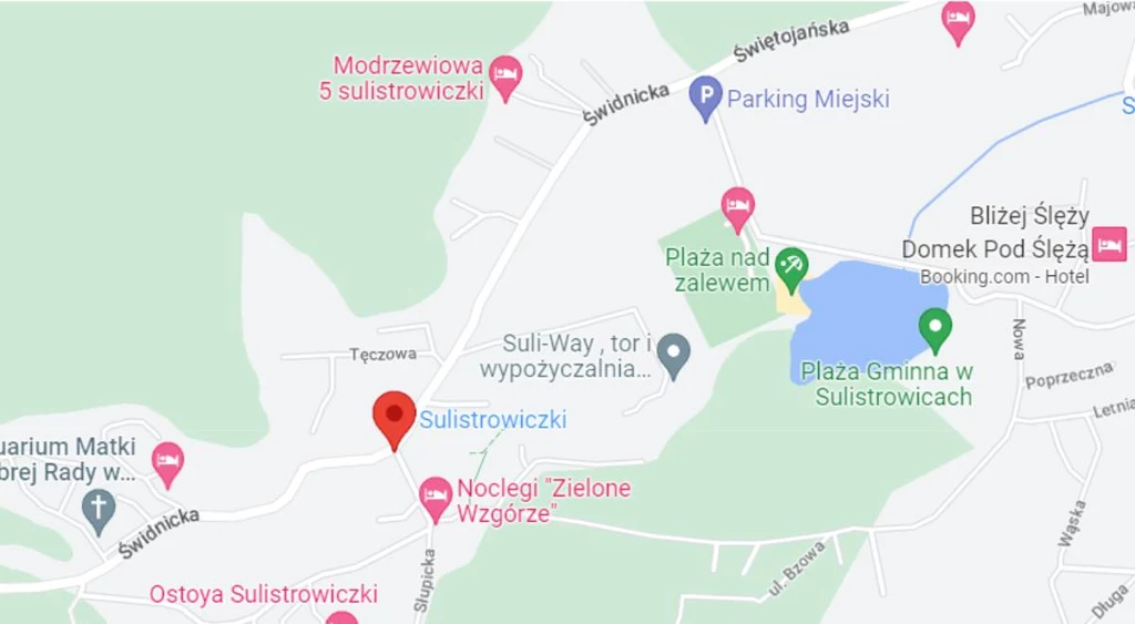 Wilki pojawiły się w rejonie wsi Sulistrowiczki Wilki pojawiły się w rejonie wsi Sulistrowiczki