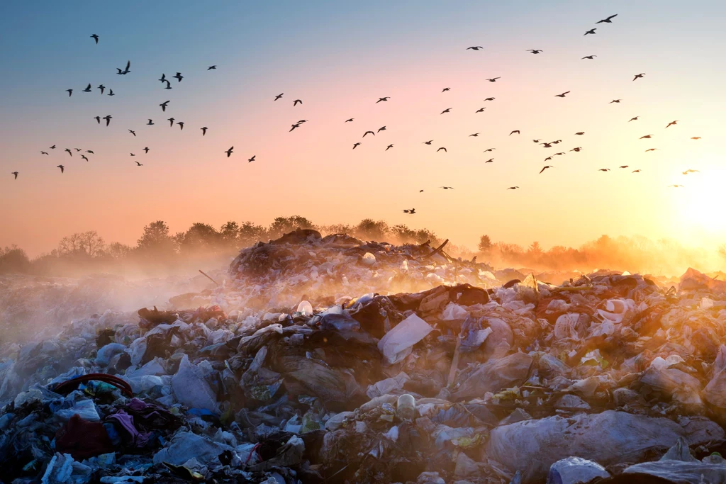 W Polsce niemal 40 proc. śmieci nadal trafia na składowiska. To najmniej ekologiczny sposób na ich utylizację. Tymczasem według wytycznych UE w 2035 r. powinniśmy ograniczyć składowanie odpadów do zaledwie 10 proc. Czy to w ogóle możliwe do osiągnięcia?